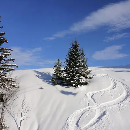 Cosy Holiday In Near Ski Area
